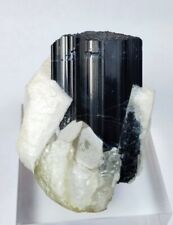 Large Black tourmaline Crystal with Phlogopite and Albite pretty Piece-Afghanstn picture