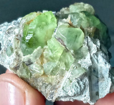 208 Ct Huge-Collectible-Terminated Lush Green Peridot Crystal Bunch Specimen picture