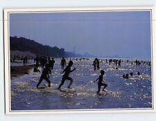 Postcard Indiana Dunes State Park Chesterton Indiana USA picture