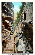 Inside Flume White Mountains New Hampshire NH Wooden Path Water Postcard Unused picture