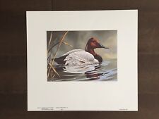 Maryland Duck Color Print w/stamp-Signed by Roger Bucklin-1982 picture