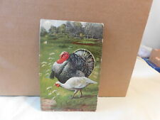 VTG Postcard Thanksgiving Tom Turkey w/ White Hen Turkey picture
