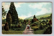 Amsterdam NY-New York, County By Road, Scenic View, Vintage Postcard picture