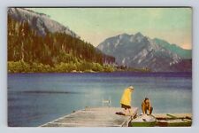 Olympic National Park-Lake Crescent Scenic View, Vintage Souvenir Postcard picture