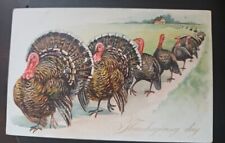 Vtg Raphael Tuck Post Card Thanksgiving Day Turkey Preowned With Writing picture