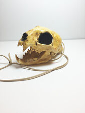 Aztec Death Whistle - The Apex Predator -  Imitates human screams very LOUD picture