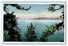 c1910's Lake Tahoe And Mountains Through The Pines California CA Postcard picture
