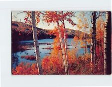 Postcard Beautiful Autumn Nature Scene picture
