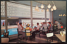 Vintage Postcard 1960's The Thunderbird Motor Lodge, Virginia Beach, Virginia picture