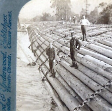 1902 Antique StereoView Stupendous Log Raft Columbia River Years Worth Timber picture