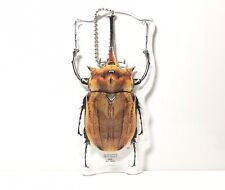Bandai Insects World Elephant Beetle Acrylic Keychain Key Holder picture