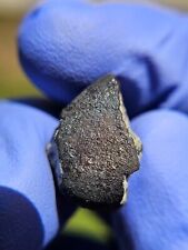 Meteorite**NEW FALL, El Menia**4.309 gram individual, Super Fresh 03/11/23 picture
