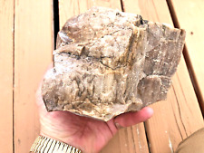 LARGE Petrified Wood Specimen 4.6 lbs Nevada Desert Very Rare FULLY CRYSTALLIZED picture