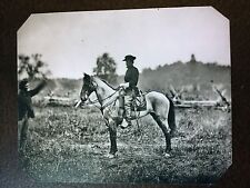 Large Civil War Military Soldier Mounted On Horse tintype C780NP picture