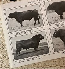 RARE 1977 Pioneer Hi-Bred Beef Cattle Sale Catalog Choctaw Chief 373 Offspring picture