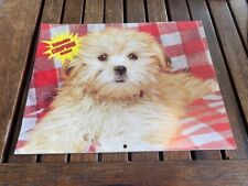 Pair of Vintage 1991 Woolworth Dog & Cat Calendars picture