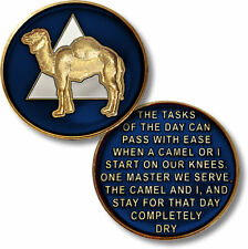 SOBRIETY  AA RECOVERY 12 STEPS THE TASKS OF THE DAY CAMEL BLUE CHALLENGE COIN picture