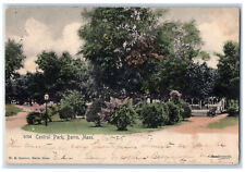 1905 Central Park Barre Massachusetts MA Elioak MD Handcolored Postcard picture