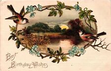 1909 Best Birthday Wishes Vintage Postcard Birds & Floral Design Embossed picture