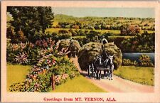 Postcard Greetings From Mt. Vernon,  Alabama (1218) picture