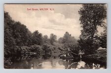 Walton NY-New York, Scenic East Brook, LULU Paddle-Boat, Vintage c1912 Postcard picture