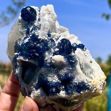 1.72LB Natural blue cubic fluorite crystal cluster mineral sample/China picture