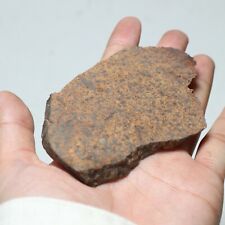 39 gram Unclassified NWA Meteorite Slice  A5219 picture