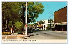 1984 Looking North Park Avenue Winter Park Florida FL Vintage Posted Postcard picture