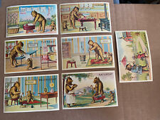 Vintage Reproduction Merrimack Publ. Corp Mon-Sun Bear Postcards picture