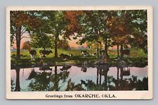 Postcard Postcard Greetings From Okarche Oklahoma Scenic Landscape with Cows picture