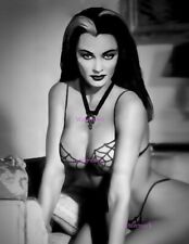 THE MUNSTERS YVONNE DE CARLO LILY MUNSTER ACTRESS BIKINI PUBLICITY PHOTO 8X10 picture