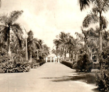 1935 RPPC Vintage Postcard Miami FL Entrance to Biscayne Park People TreesB2-110 picture