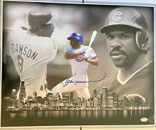 Andre Dawson Chicago Cubs Autographed Baseball 16x20 Photo With JSA COA picture