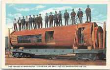 Washington State-Railroad-Bear Den-Saw Log-Spruce Tree-People-Vintage Postcard picture