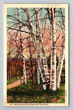 White Birches Of Northern Michigan Vintage c1942 Souvenir Postcard picture
