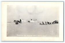 c1950's Trapping Hunting Camp Sled Dogs Point Barrow AK RPPC Photo Postcard picture