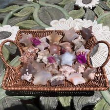 Flower Agate Crystal Star Figurines picture