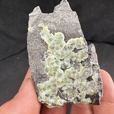 Starburst Green Wavellite Crystals on Matrix from Arkansas picture