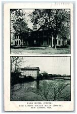 New Lisbon Wisconsin Postcard Park Hotel Roller Mills Lake 1910 Vintage Antique picture