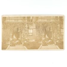 Unknown Mystery Women Outdoor Stereoview c1874 Ivy Covered House Ladies A2700 picture