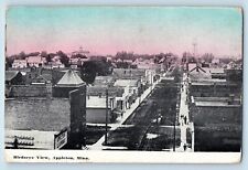 Appleton Minnesota Postcard Birdseye View Exterior Building 1910 Vintage Antique picture