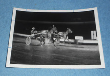 1981 Harness Racing Press Photo Horse 