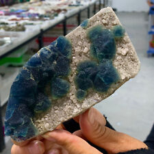1.06LB Natural Blue cubic fluorite crystal cluster mineral sample picture