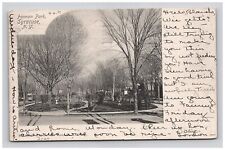 Postcard NY 1905 Forman Park Street Road Scenic View Syracuse New York picture