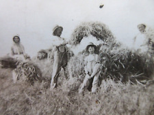 Antique VTG postcard real photo Farm scene hand baling hay wheat bales RPPC RARE picture