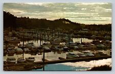 Sunset At Ilwaco Port, Mouth of Columbia River Washington VINTAGE Postcard picture