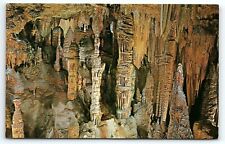 1950s LURAY VIRGINIA LURAY CAVERNS TOTEM POLES UNPOSTED CHROME POSTCARD P4369 picture
