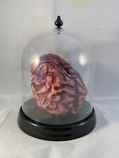 Severed Bloody Brain in Plastic Dome Halloween Prop Haunted House Science Decor picture