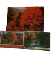 Lot Of 3 Georgia Post Cards Antique Fall In North Georgia picture