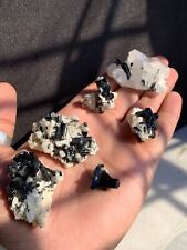Stunning Lot Of Black Scroll Tourmaline Bunches Cluster, Terminated Tourmaline C picture